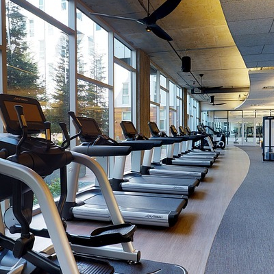 Cardio room with treadmills and stepping machines.